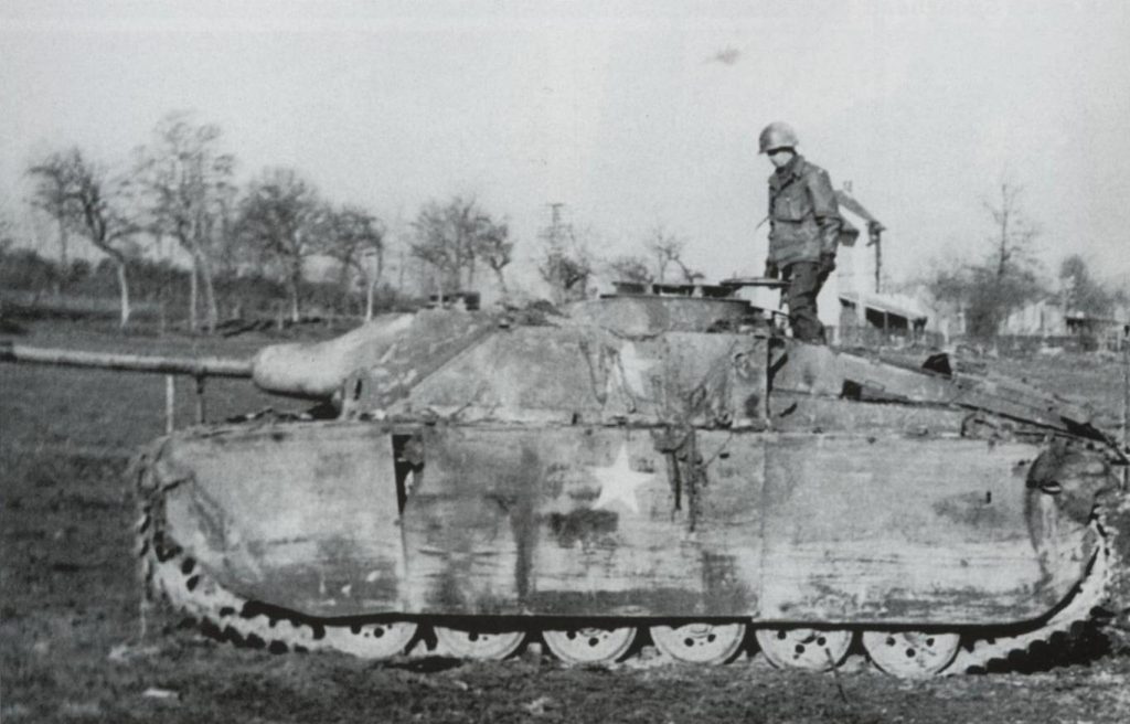 Dressed up Panther With American Markings